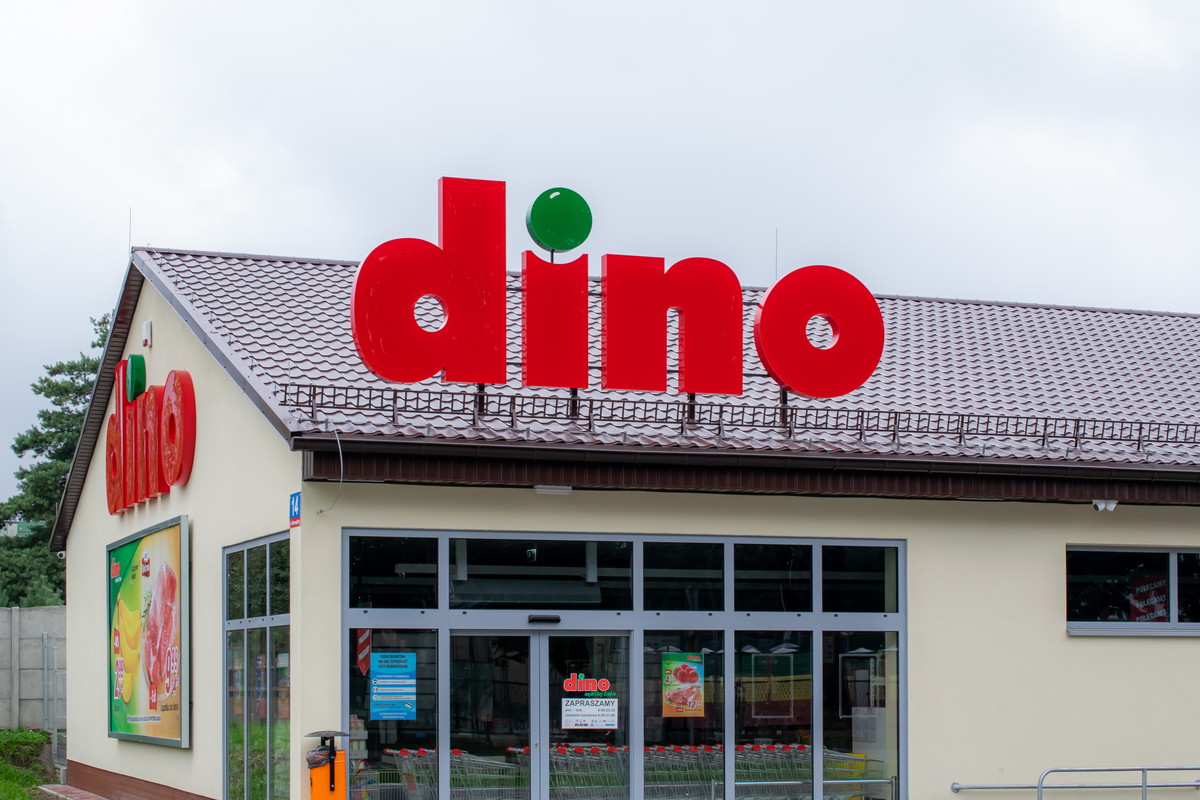 Praca w Dino
