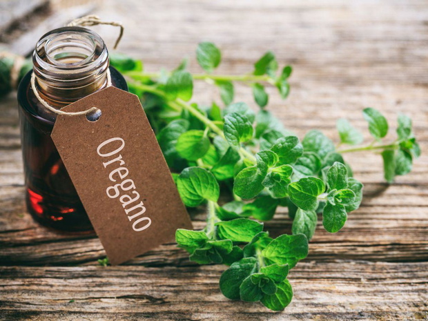 olej-z-oregano-na-skore-2506792-bd5a5b0