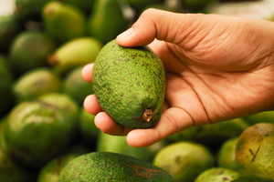 awokado