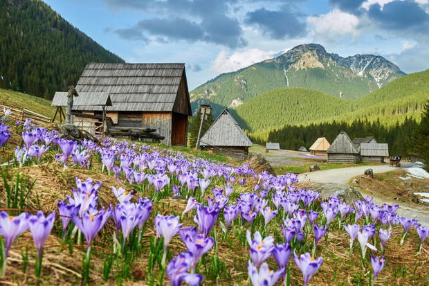 dolina-chocholowska-2404813-30adbb3