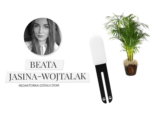 Plants Smart Monitor, Xiaomi, 79 zł