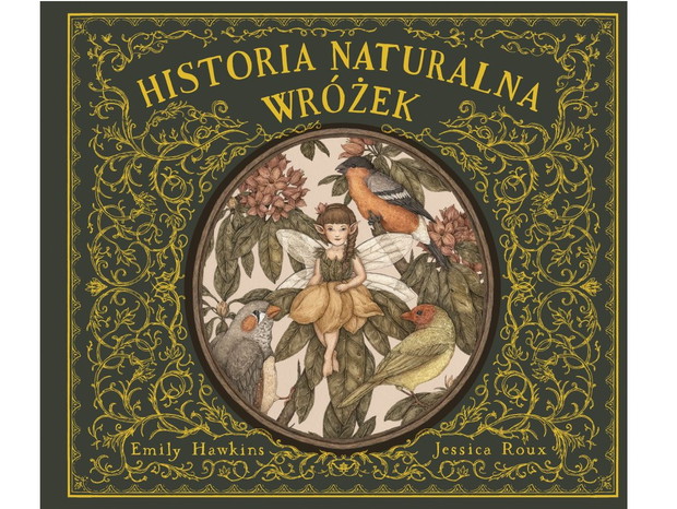 Emily Hawkins, Historia naturalna wróżek, cena ok. 59 zł