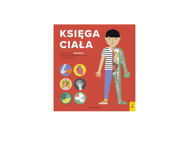 Hannah Alice, Księga Ciała, cena ok. 40 zł