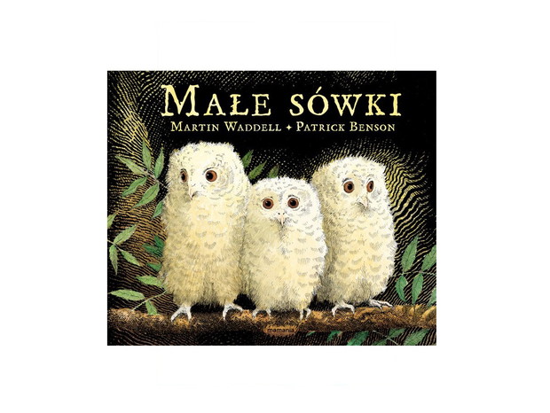 Martin Waddell, Małe sówki, cena ok. 24 zł