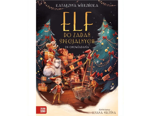 Katarzyna Wierzbicka, Elf do zadań specjalnych, cena ok. 38 zł