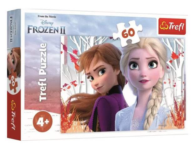 Puzzle Kraina Lodu. Zaczarowany świat Anny i Elsy, 60 elementów, cena 14,99 zł