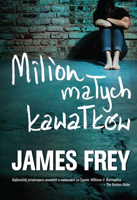 James Frey, Milion małych kawałków, cena ok. 35 zł