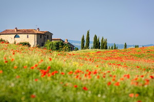 Toskania