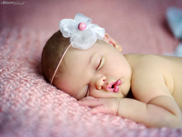 IMG0939-9e2a905