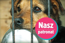 Pomóżmy zwierzętom przetrwać zimę