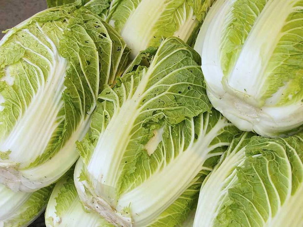 Kapusta pekińska