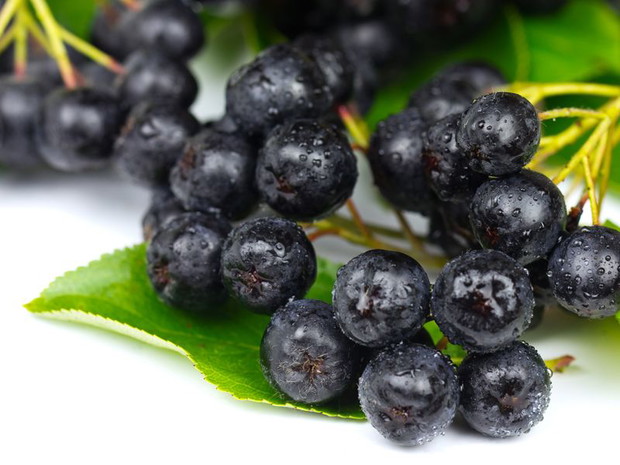 Zapomniane warzywa i owoce: aronia