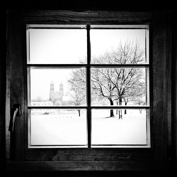 Michał Koralewski, Mobile Photography Awards 2013
