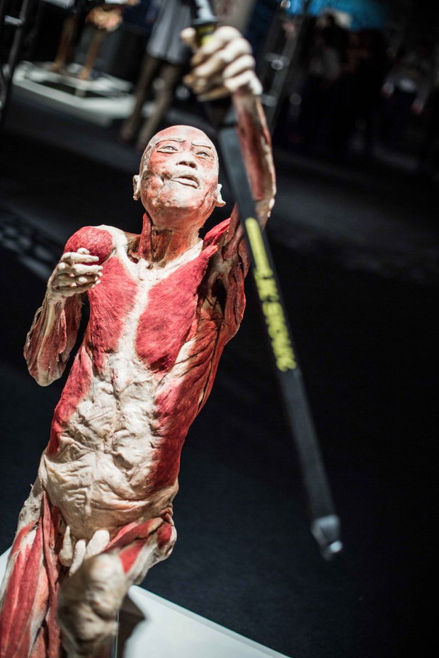 Wystawa Bodies Revealed