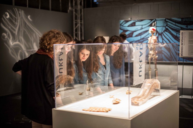 Wystawa Bodies Revealed