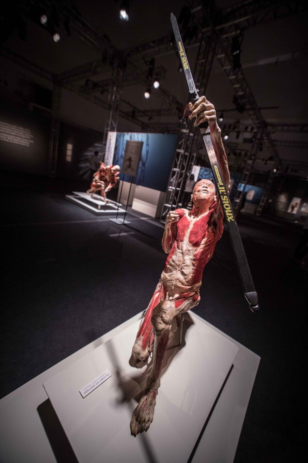 Wystawa Bodies Revealed