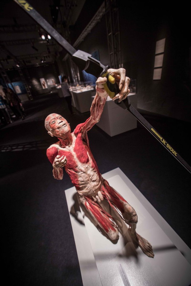 Wystawa Bodies Revealed