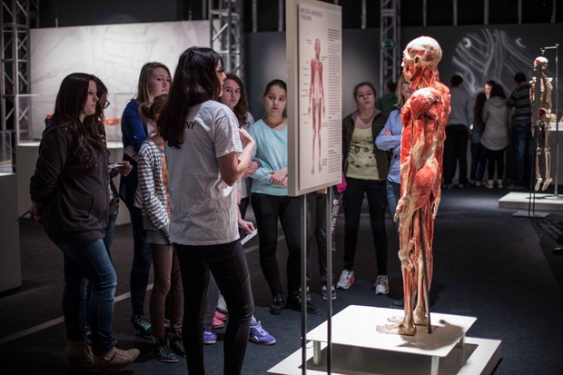 Wystawa Bodies Revealed