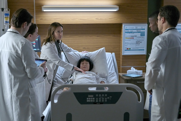 Serial Doktor Larsen na AXN
