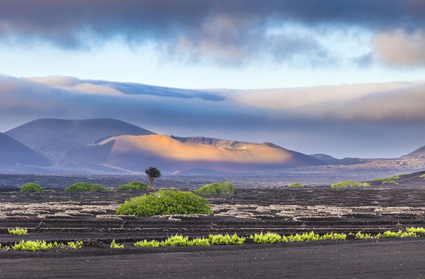 extinguished volcanoes in Timanfaya National Park