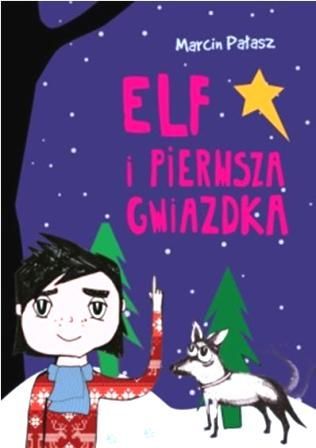 Elf i pierwsza gwiazdka, Marcin Pałasz, cena ok. 22 zł