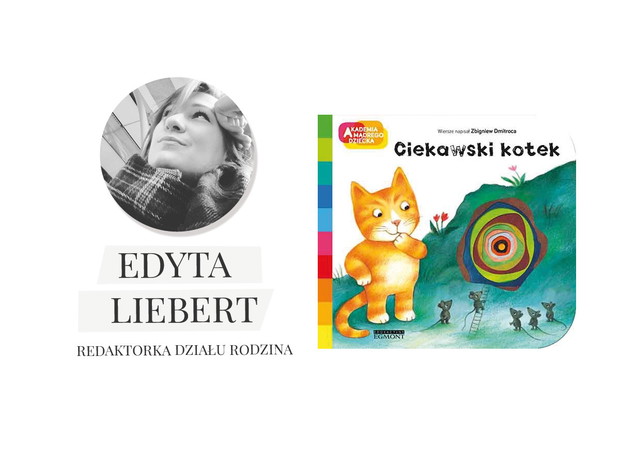 Książka „Ciekawski kotek”, Zbigniew Dmitroca, wyd. Egmont, cena ok. 22 zł