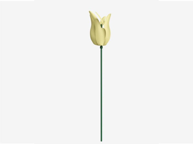 tulipany-dekoracyjne-2524237-1f13baa