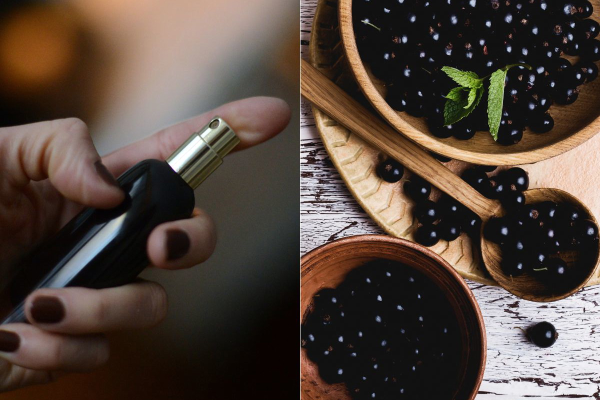 Perfumy o zapachu czarnej porzeczki