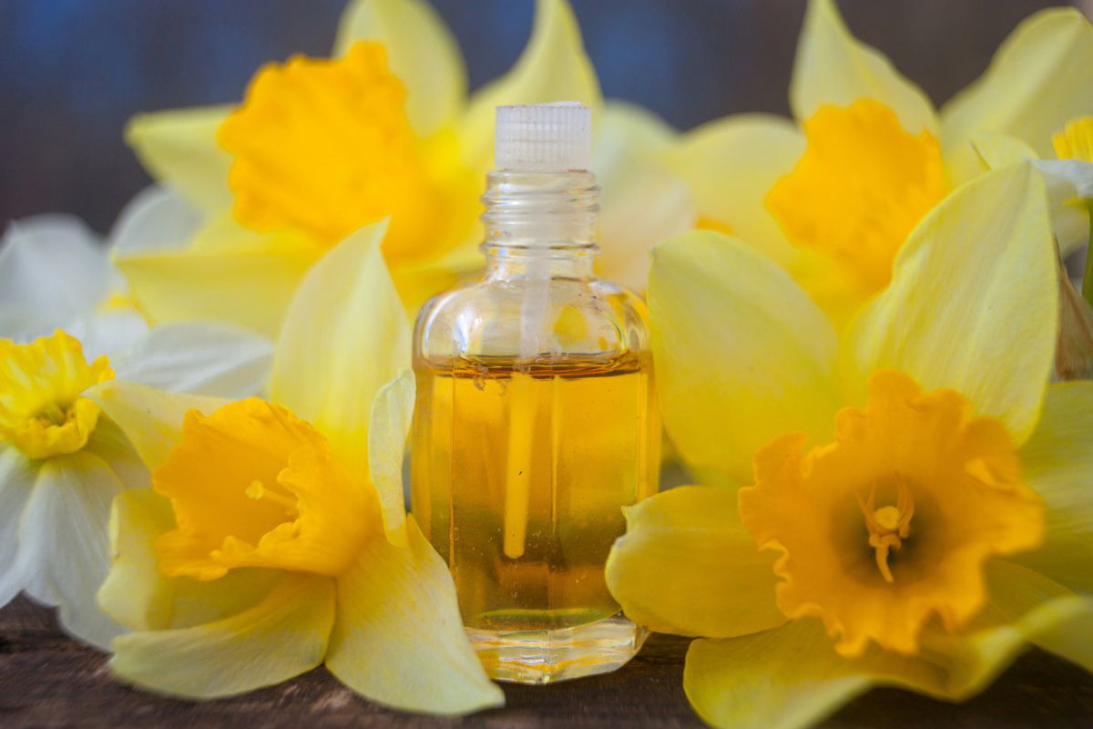 perfumy z nutami narcyza