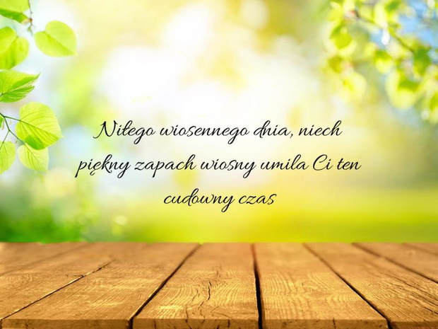 wiosenne-pozdrowienia-na-dzien-dobry-2511618-33e3d24