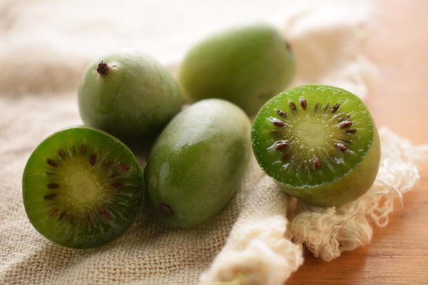 aktinidia-mini-kiwi-2489365-5094183