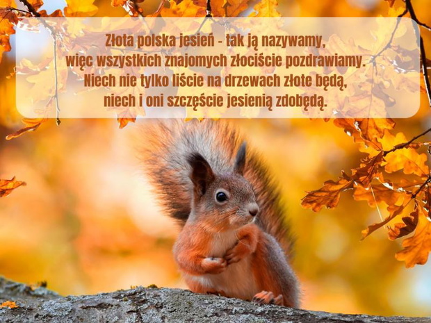 jesienne-pozdrowienia-2517620-e255661