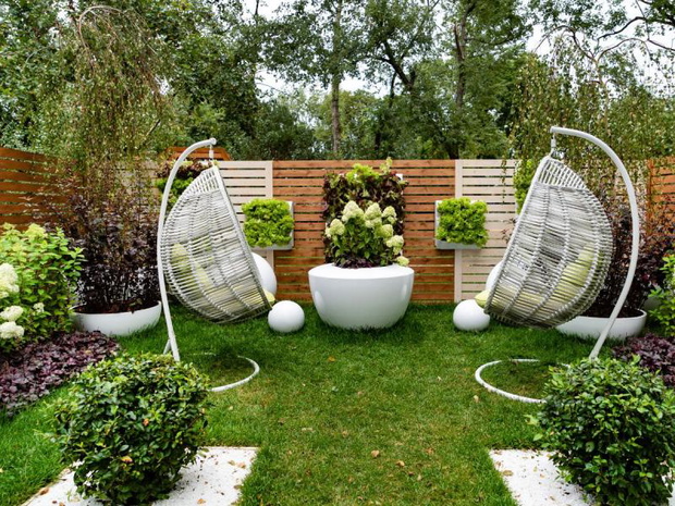 co-najlepiej-posadzic-przy-plocie-2511484-20566cf