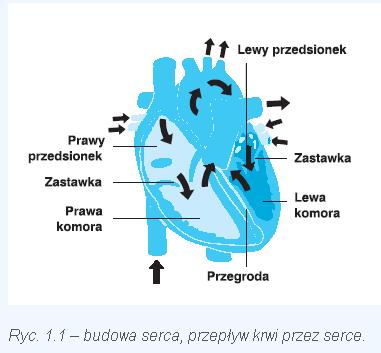Nieznane