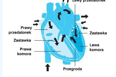 Nieznane