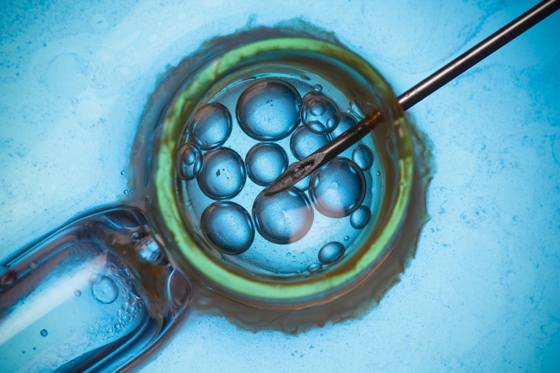in vitro