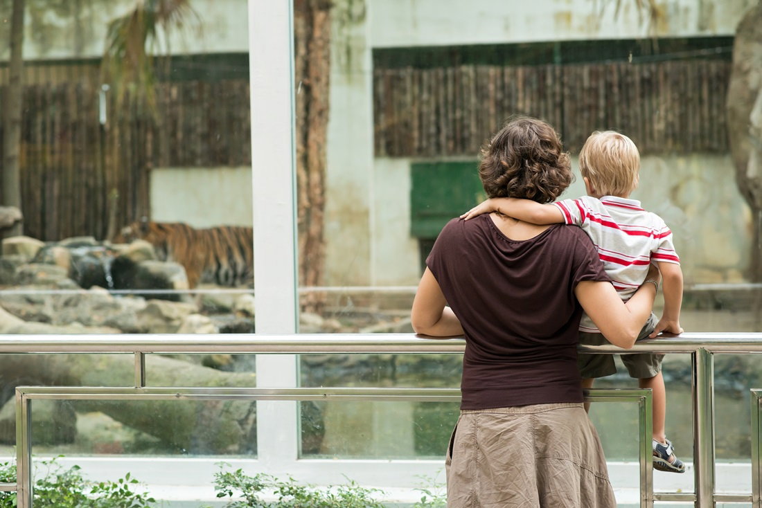zoo