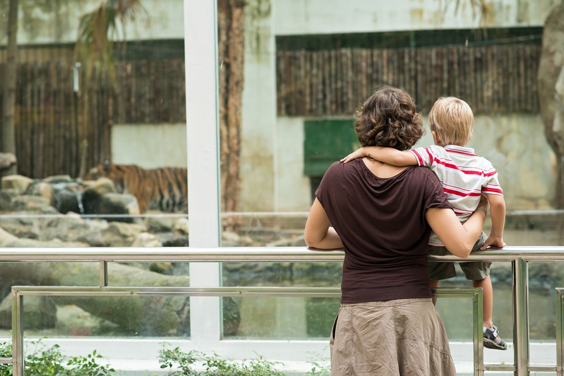 zoo
