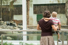 zoo