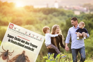 kleszcze