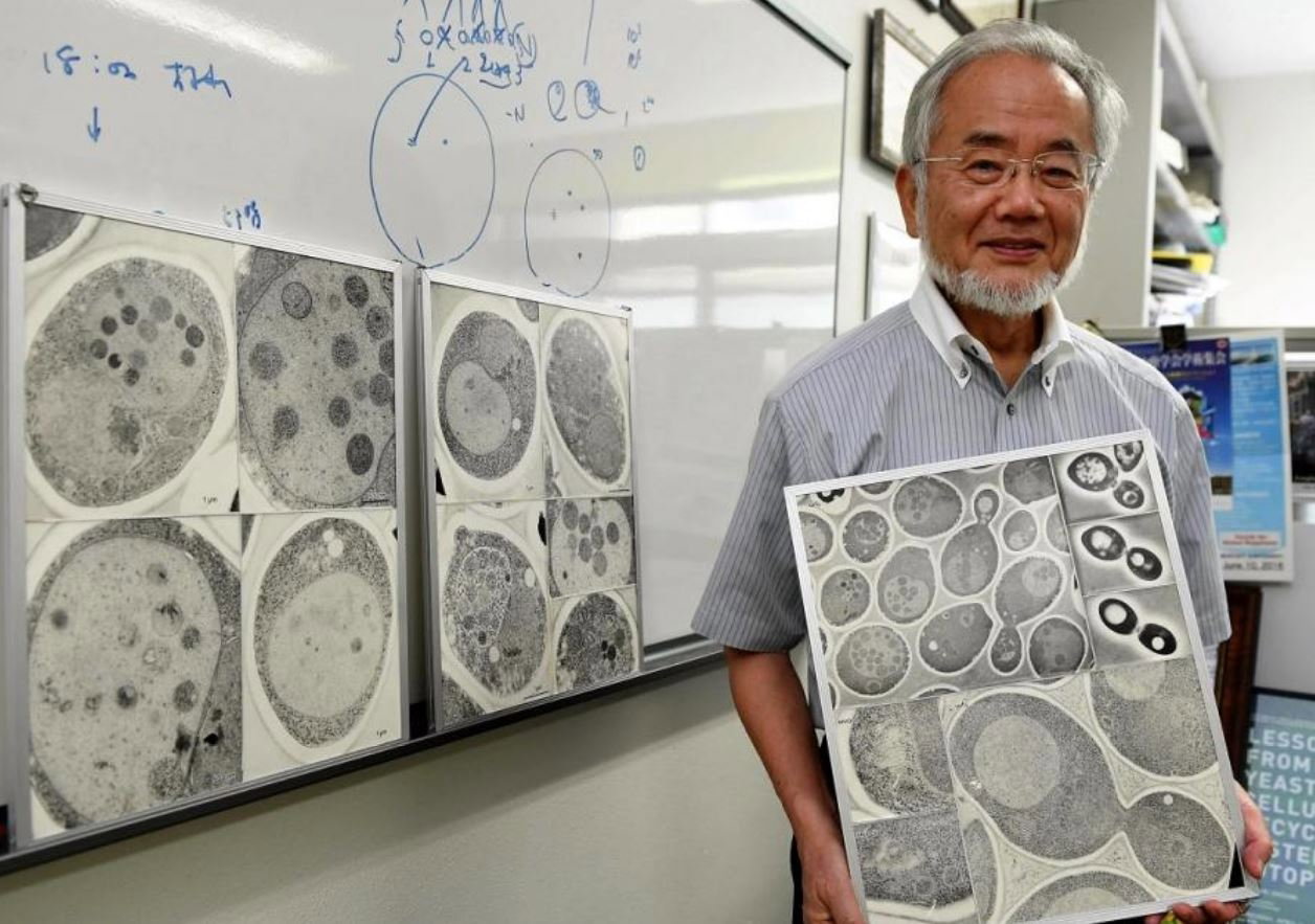 Yoshinori Ohsumi