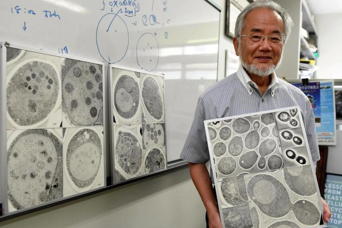 Yoshinori Ohsumi