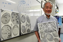 Yoshinori Ohsumi