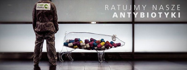 antybiotyki-2334163-9f1428b