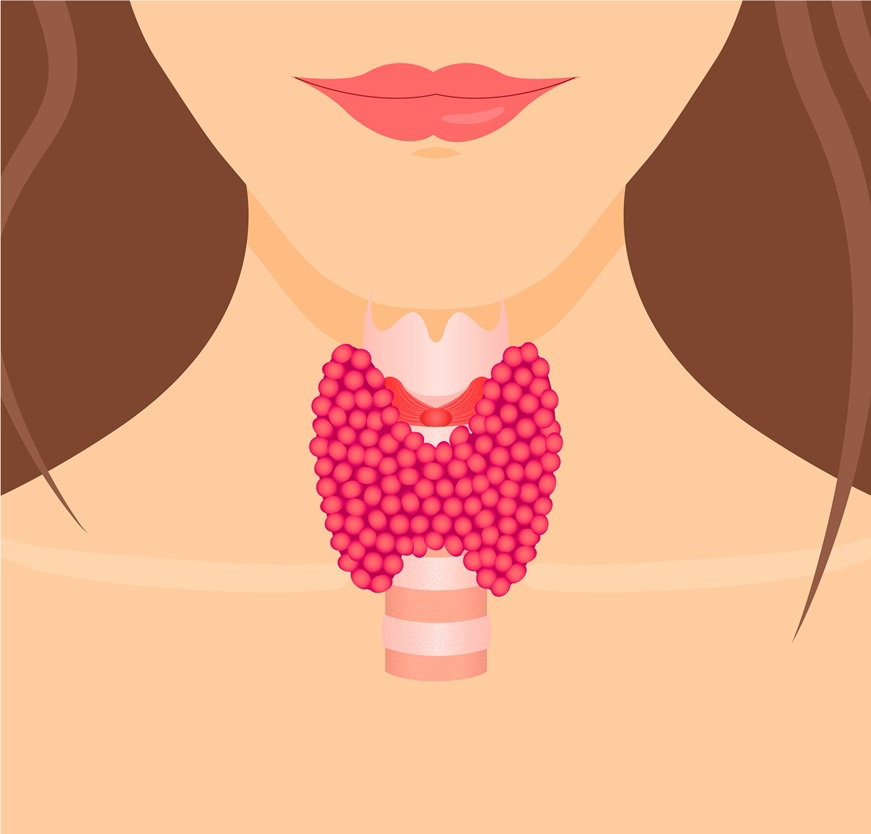 Fotolia_110757902_Subscription_XXL