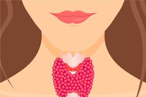 Fotolia_110757902_Subscription_XXL