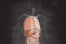 nowy organ