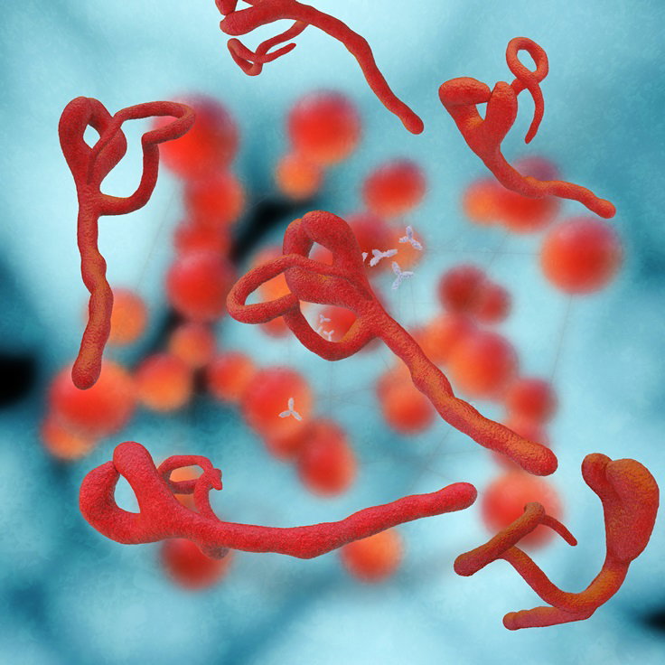 Fotolia