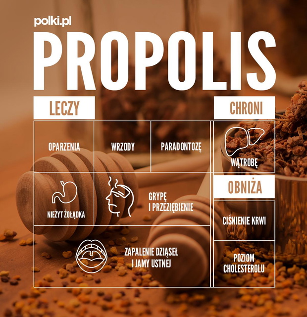 propolis-2440117-c006ed0