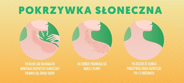 pokrzywka-sloneczna-2437099-5ce811b
